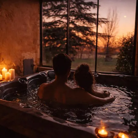 Domaine De Pourrouquet - D'hotes De Charme Avec Piscine Et 3* Vic-Fezensac