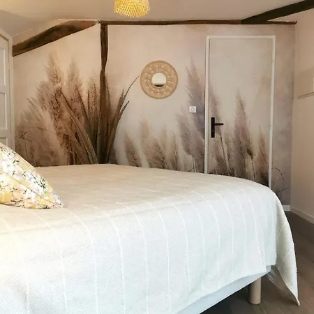 Domaine De Pourrouquet - D'hotes Vic-Fezensac