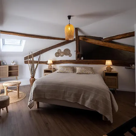 Domaine De Pourrouquet - D'hotes 3* Vic-Fezensac