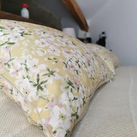 Domaine De Pourrouquet - D'hotes