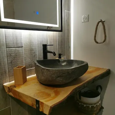 Domaine De Pourrouquet - D'hotes 3* Vic-Fezensac