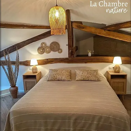 Domaine De Pourrouquet - D'hôtes 3* Vic-Fezensac