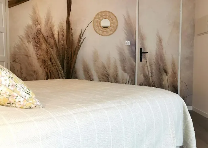 Domaine De Pourrouquet - D'hotes 维克费藏萨克