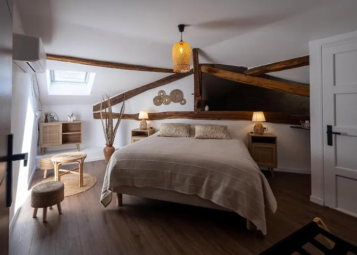 Domaine De Pourrouquet - D'hotes 3* 维克费藏萨克