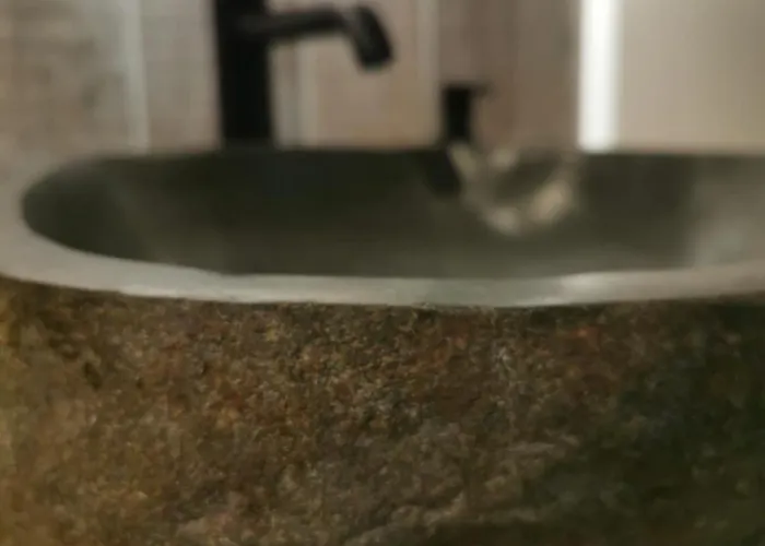 Domaine De Pourrouquet - D'hotes De Charme Avec Piscine Et Bed & Breakfast Vic-Fezensac