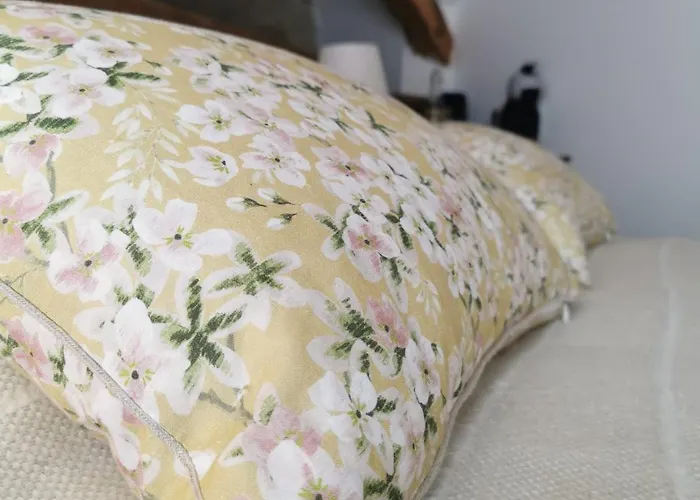 Domaine De Pourrouquet - D'hotes De Charme Avec Piscine Et